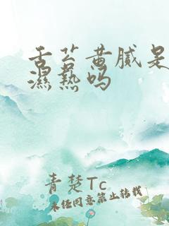 舌苔黄腻是脾胃湿热吗