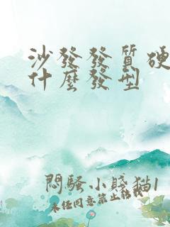 沙发发质硬适合什么发型