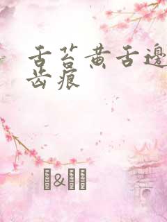 舌苔黄舌边红有齿痕