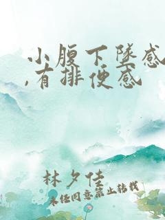 小腹下坠感胀痛,有排便感