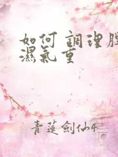 如何 调理脾虚湿气重