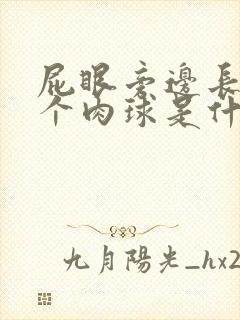 屁眼旁边长了一个肉球是什么