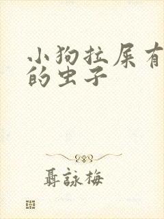 小狗拉屎有白色的虫子