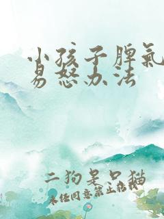 小孩子脾气暴躁易怒办法