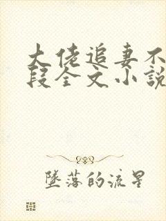 大佬追妻不择手段全文小说阅读全文