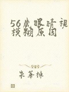 56岁眼睛视力模糊原因