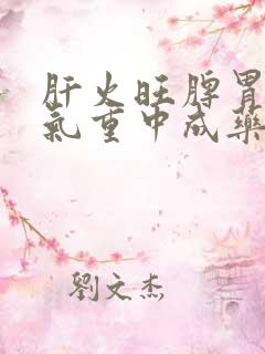 肝火旺脾胃虚湿气重中成药