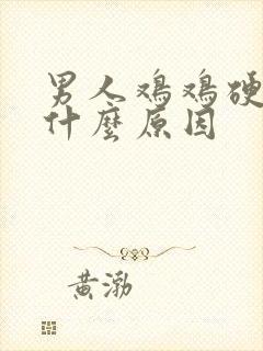 男人鸡鸡硬不起什么原因