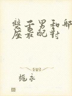 双子男和哪个星座最配对