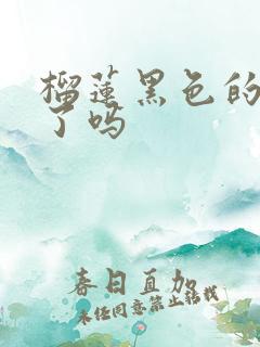 榴莲黑色的是坏了吗