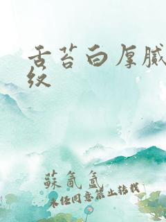 舌苔白厚腻有裂纹