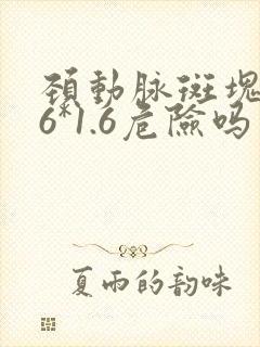 颈动脉斑块5.6*1.6危险吗