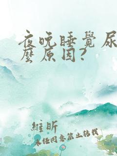 夜晚睡觉尿多什么原因?