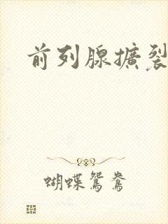 前列腺扩裂导管