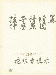 孩子情绪暴躁是什么原因