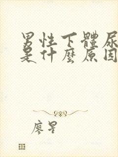 男性下体尿出血是什么原因