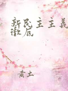 新民主主义革命彻底