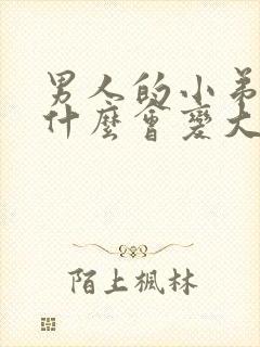 男人的小弟弟为什么会变大