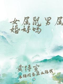 女属鼠男属兔结婚好吗