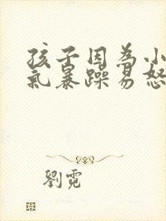 孩子因为小事脾气暴躁易怒