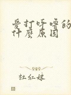 爱打呼噜的人是什么原因