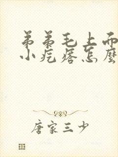 弟弟毛上面长了小疙瘩怎么回事