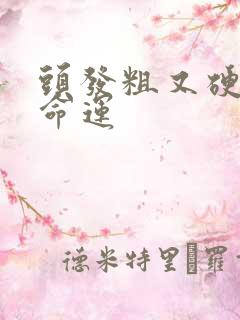 头发粗又硬的人命运