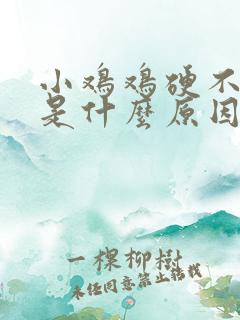 小鸡鸡硬不起来是什么原因