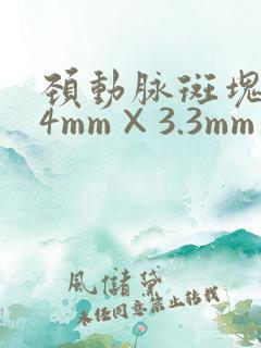 颈动脉斑块1.4mm×3.3mm严重吗