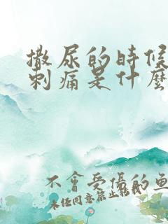 撒尿的时候尿道刺痛是什么原因