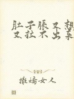 肚子胀又想大便又拉不出来