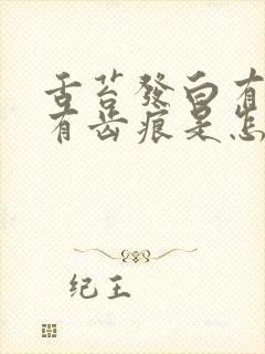 舌苔发白有裂纹有齿痕是怎么回事