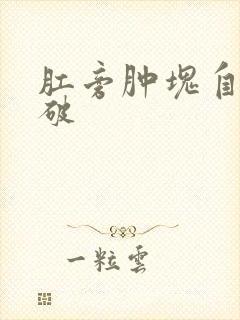 肛旁肿块自行溃破