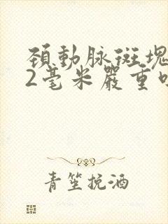 颈动脉斑块1.2毫米严重吗