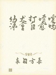 幼犬打喷嚏流鼻涕会自愈吗