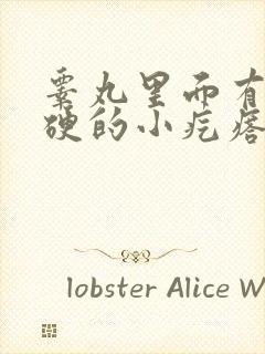 睾丸里面有个硬硬的小疙瘩怎么回事