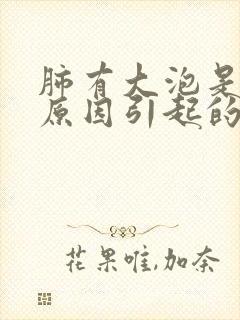 肺有大泡是什么原因引起的