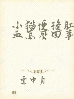 小猫便后肛门有血怎么回事