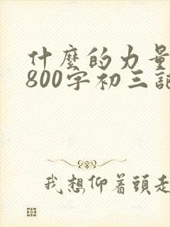 什么的力量作文800字初三记叙文