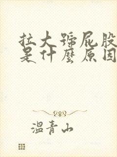 拉大号屁股出血是什么原因