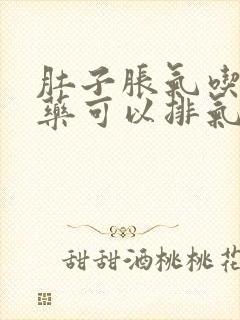 肚子胀气吃什么药可以排气通便