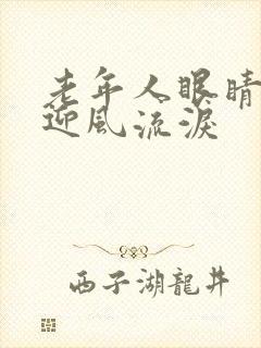 老年人眼睛模糊迎风流泪