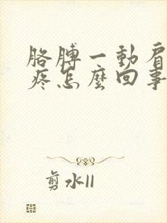 胳膊一动肩膀就疼怎么回事