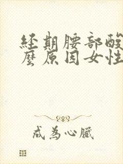 经期腰部酸痛什么原因女性