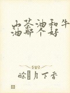 山茶油和牛油果油哪个好