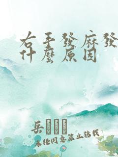 右手发麻发抖是什么原因