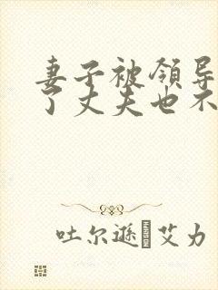 妻子被领导欺负了丈夫也不敢吭声是