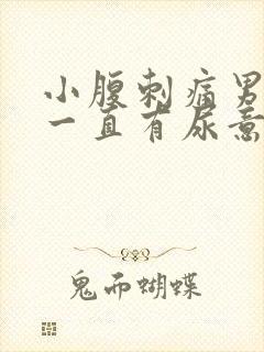 小腹刺痛男 尿一直有尿意