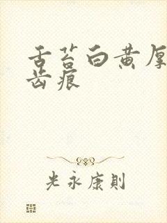 舌苔白黄厚腻有齿痕