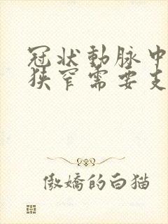 冠状动脉中重度狭窄需要支架吗